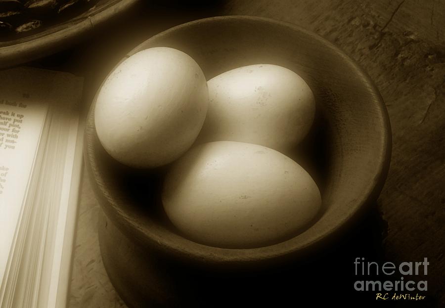 Egg Photograph - Fresh from the Nest by RC DeWinter