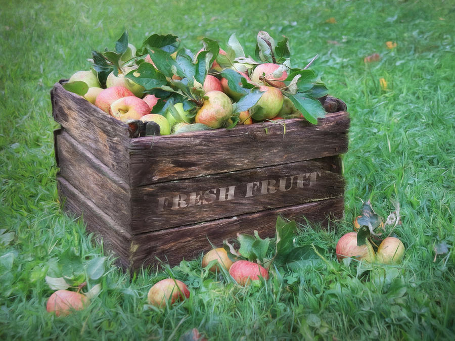 Fresh Fruit Photograph by Lori Deiter