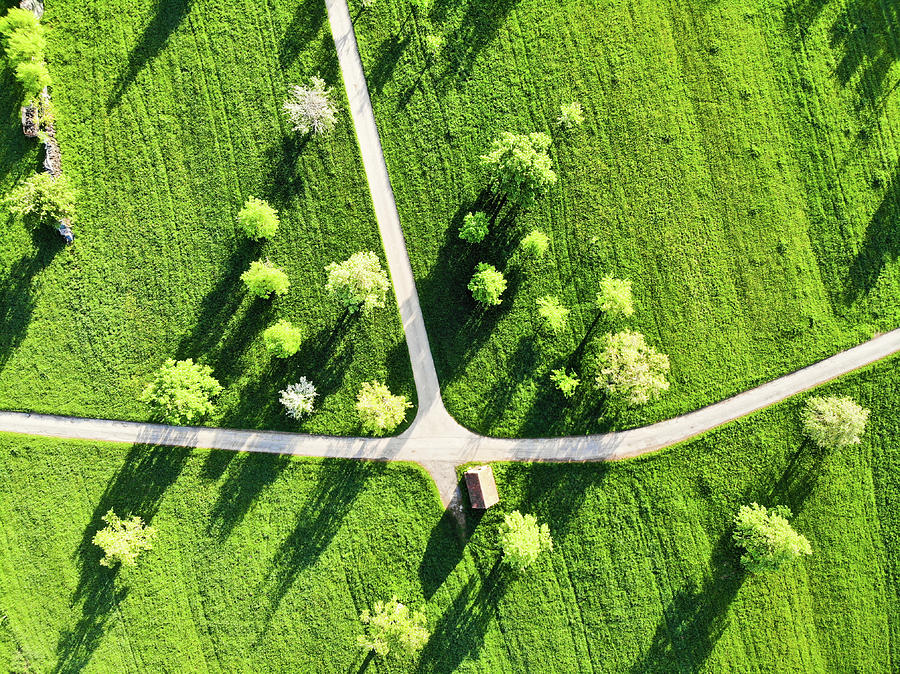 Fresh green meadow with trees in spring aerial view Photograph by Matthias Hauser