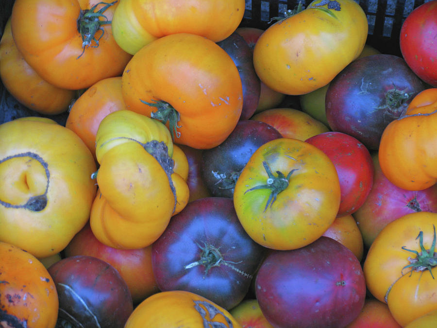 Fresh Heirloom Tomatoes by AVE GUEVARA Fresh Heirloom Tomatoes by AVE GUEVARA