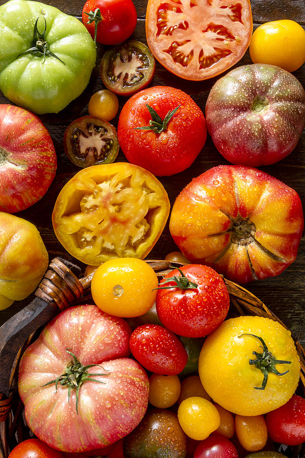 Fresh Heirloom Tomatoes Photograph by Teri Virbickis
