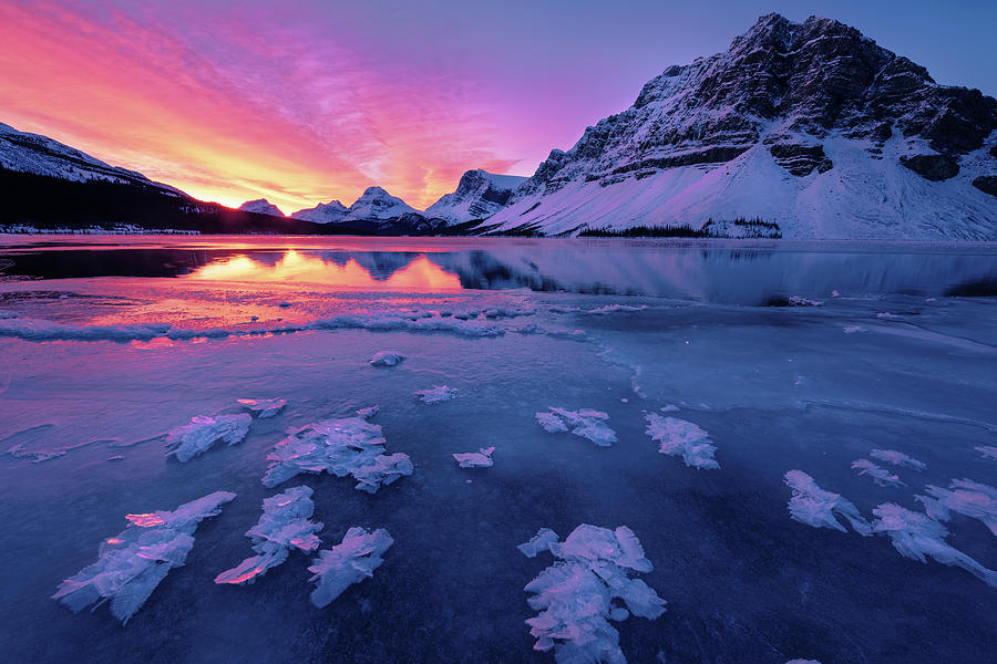 Fresh Ice On Bow Lake Photograph by Dan Jurak
