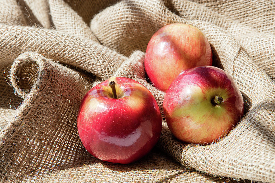 Fresh juicy apples on jute bag Photograph by B-d-s - Pixels