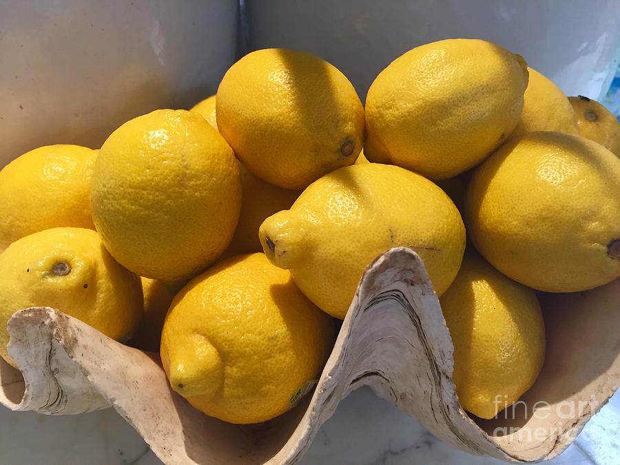 Fresh Lemons Photograph by Dorota Nowak