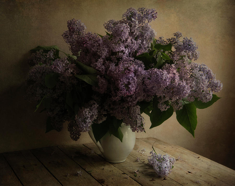 Fresh lilac in white pot Photograph by Jaroslaw Blaminsky