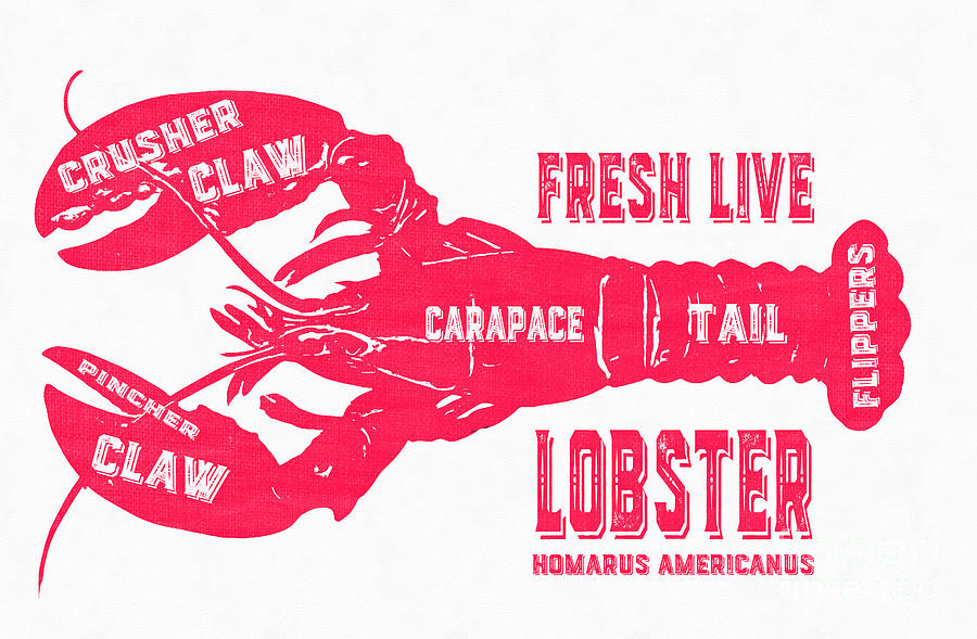 Fresh Live Lobster Vintage Sign Photograph by Edward Fielding