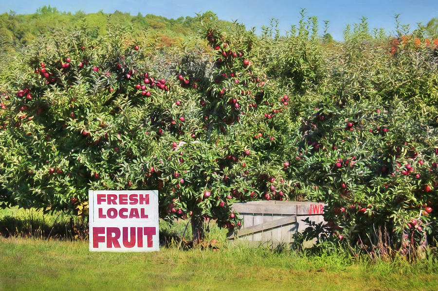 Apple Photograph - Fresh Local Fruit by Lori Deiter