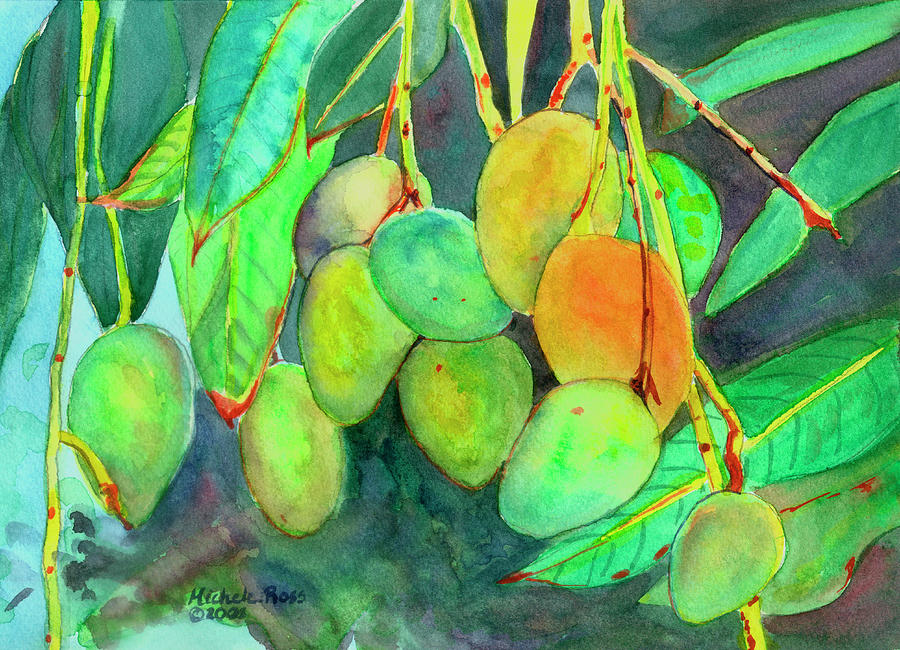 Mango Painting - Fresh Mangos by Michele Ross