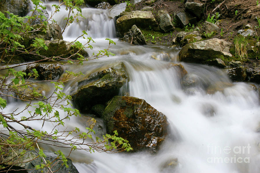 Fall Photograph - Fresh Mountain Water by Crystal Garner