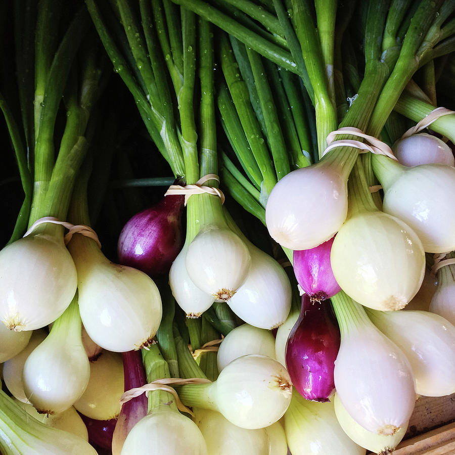 Onion Photograph - Fresh onions at the market by GoodMood Art