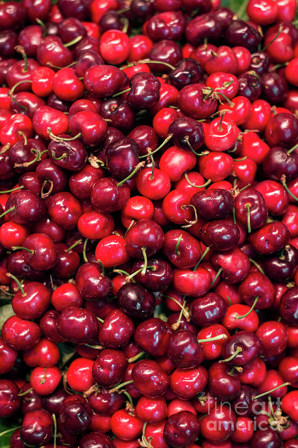 Fresh Organic Red Cherries On Display Photograph by JM Travel Photography