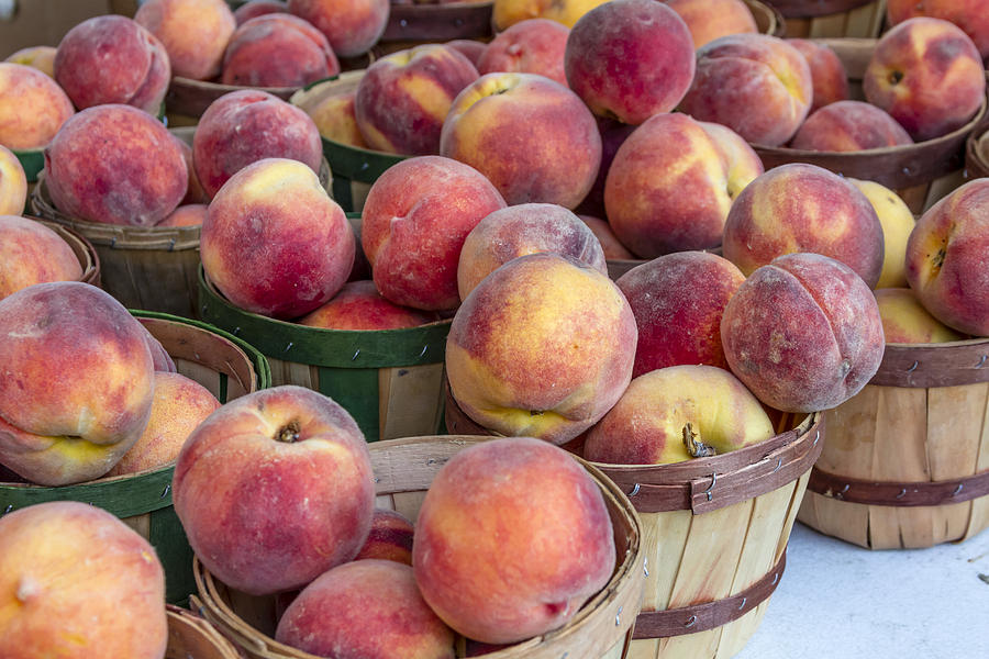 Fresh Peaches at the Market Photograph by Teri Virbickis
