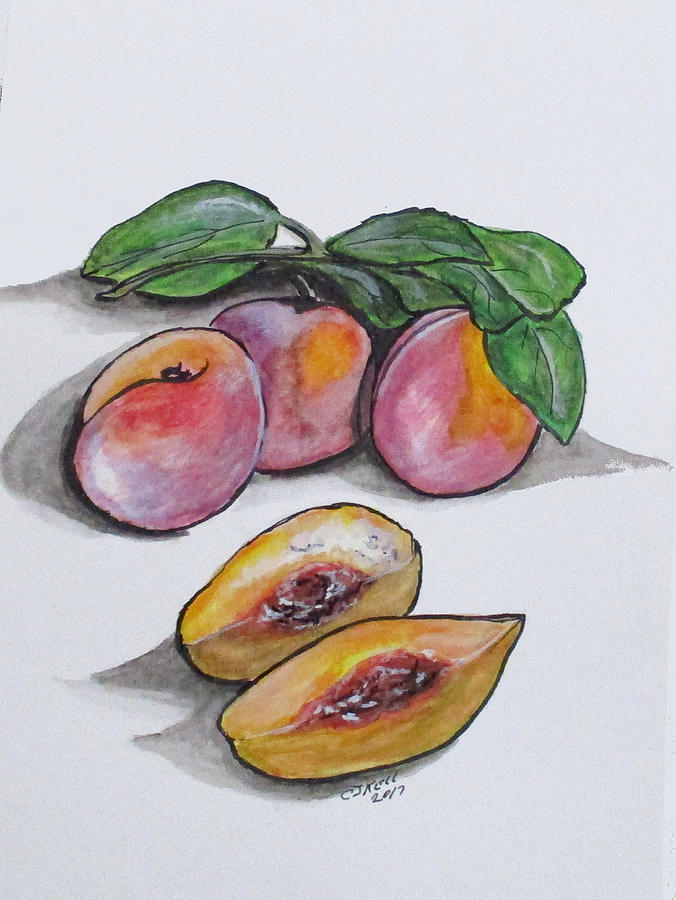 Fresh Peaches Painting by Clyde J Kell