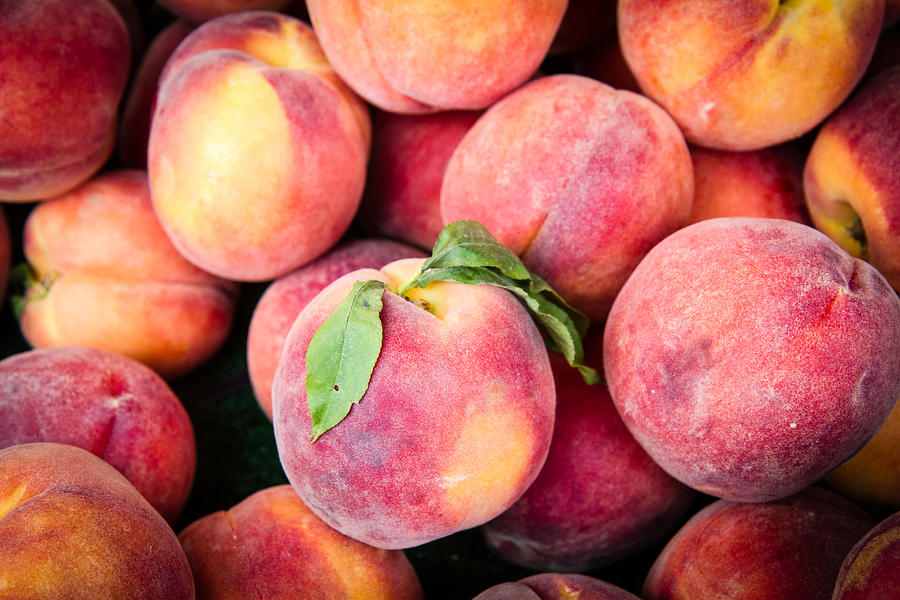 Fresh Peaches Photograph by Dina Calvarese