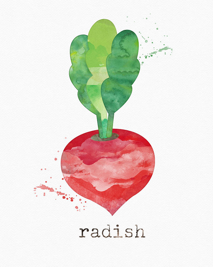 Fresh Radish Painting by Linda Woods