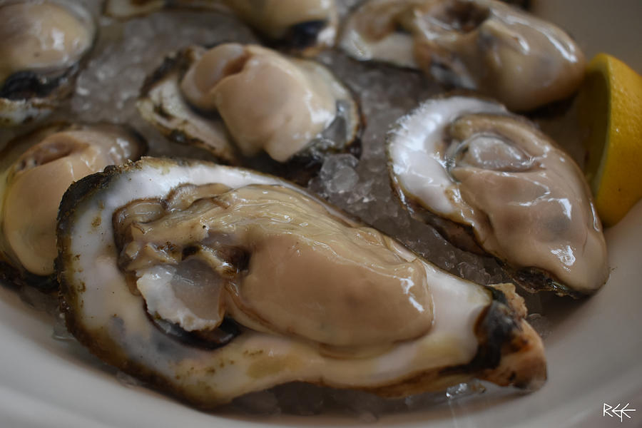 Fresh Raw Chesapeake Bay Oysters From Annapolis, MD Photograph By ...