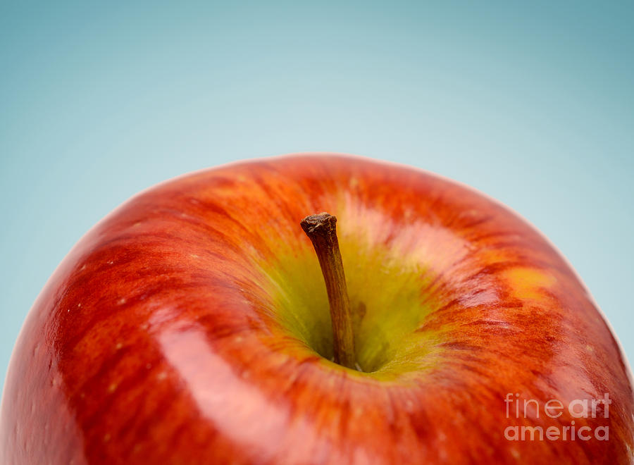 Fresh red apple Photograph by Andreas Berheide