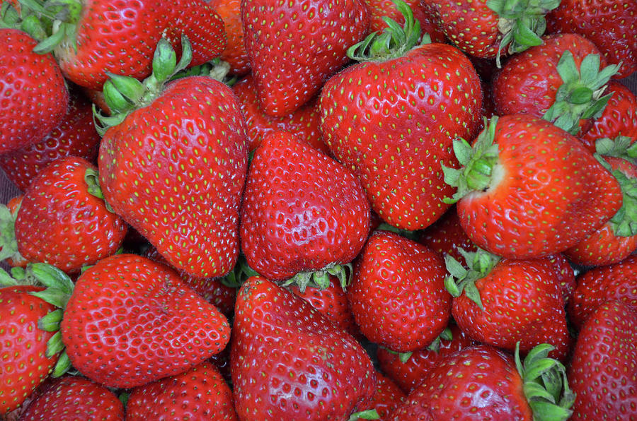 Strawberry Photograph - Fresh red strawberries by Ingrid Perlstrom