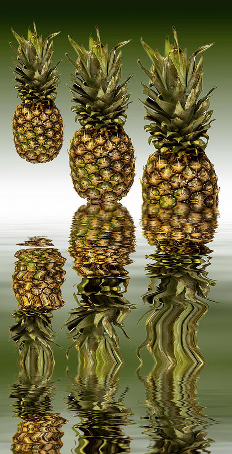 Fresh ripe pineapple fruits Photograph by David French