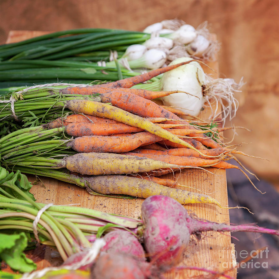 Carrot Photograph - Fresh root vegetables by Sophie McAulay