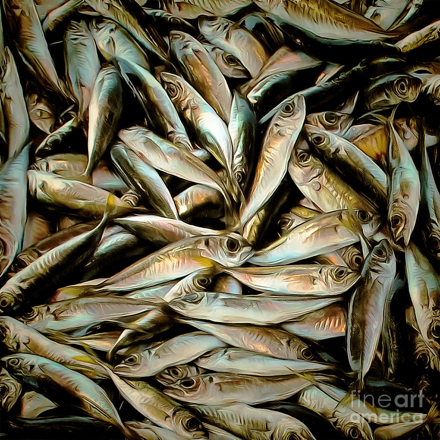 Fish Photograph - Fresh Sardine Fish Catch of The Day Painterly 20170913 square by Wingsdomain Art and Photography
