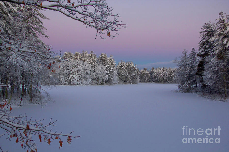 New Hampshire Landscapes Photograph - Fresh Snow by Diana Nault New Hampshire Landscapes Photograph - Fresh Snow by Diana Nault
