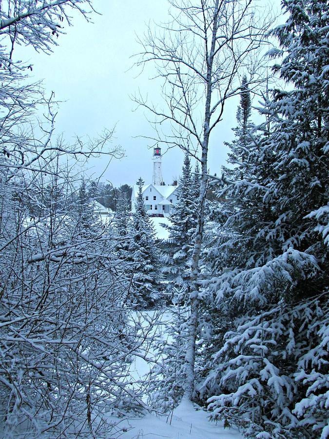 Fresh Snow by Greta Larson Photography Fresh Snow by Greta Larson Photography