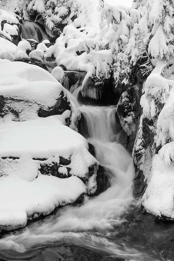 Fresh Snow in Paradise River Digital Art by Michael Lee