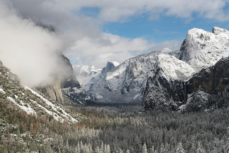 Fresh Snow in the Valley Photograph by Brenda Tharp | Fine Art America