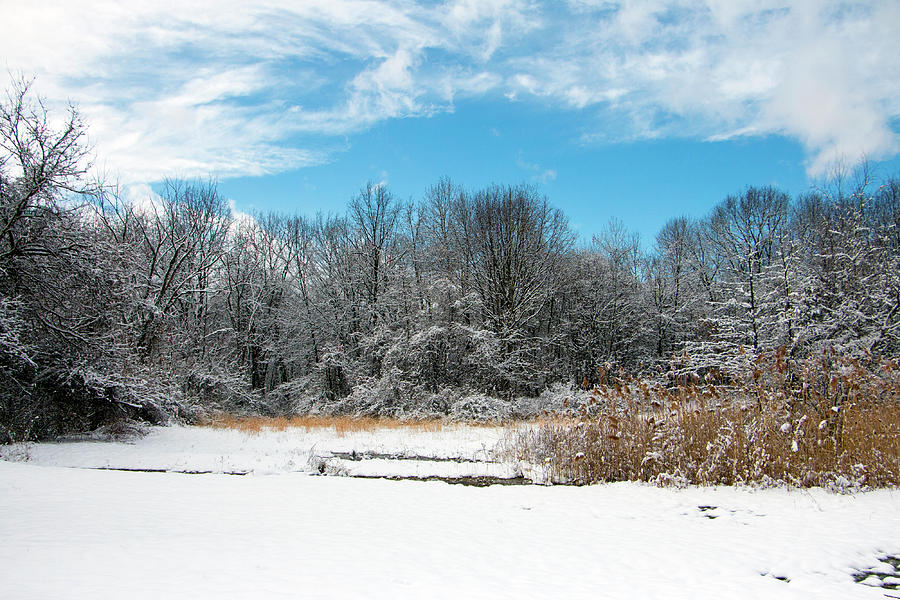 Winter Photograph - Fresh Snow by Jeff Severson