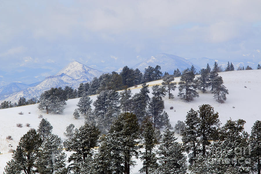 Fresh Snow on the Mosquito Range Photograph by Steven Krull