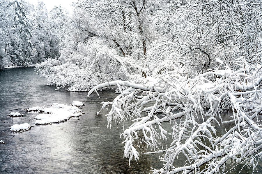 Fresh Snow Williams River Photograph by Thomas R Fletcher