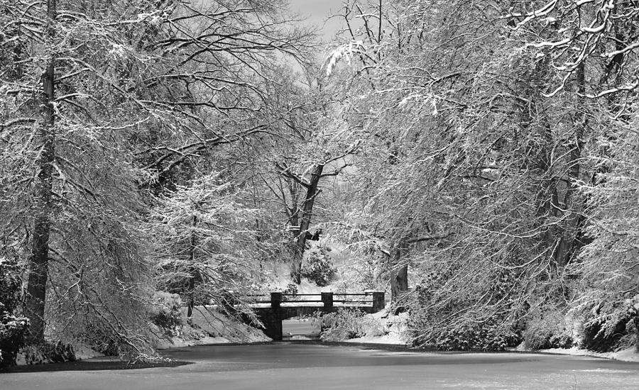 Fresh Snowfall at Mount Auburn Cemetery Photograph by Ken Stampfer
