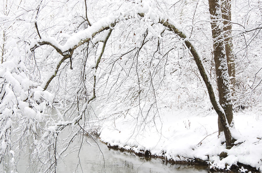 Winter Photograph - Fresh Snowfall on the River by Thomas R Fletcher