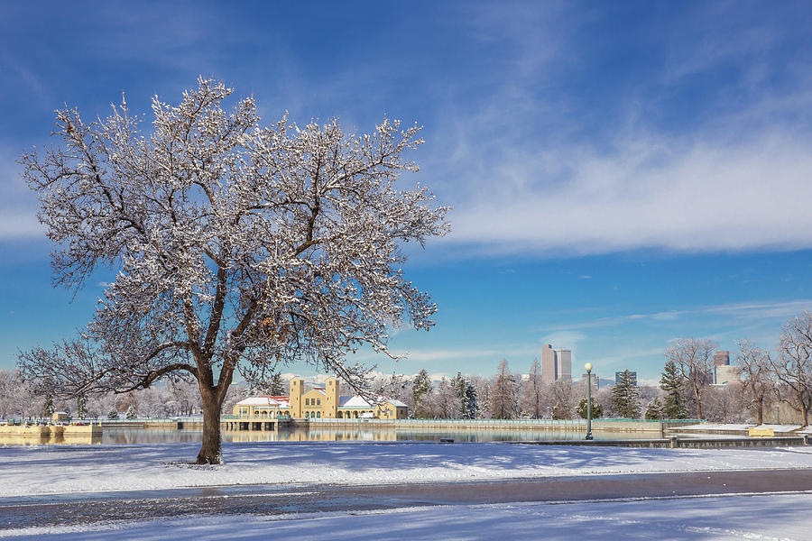 Fresh Spring Snow - City Park, Denver, Colorado Photograph