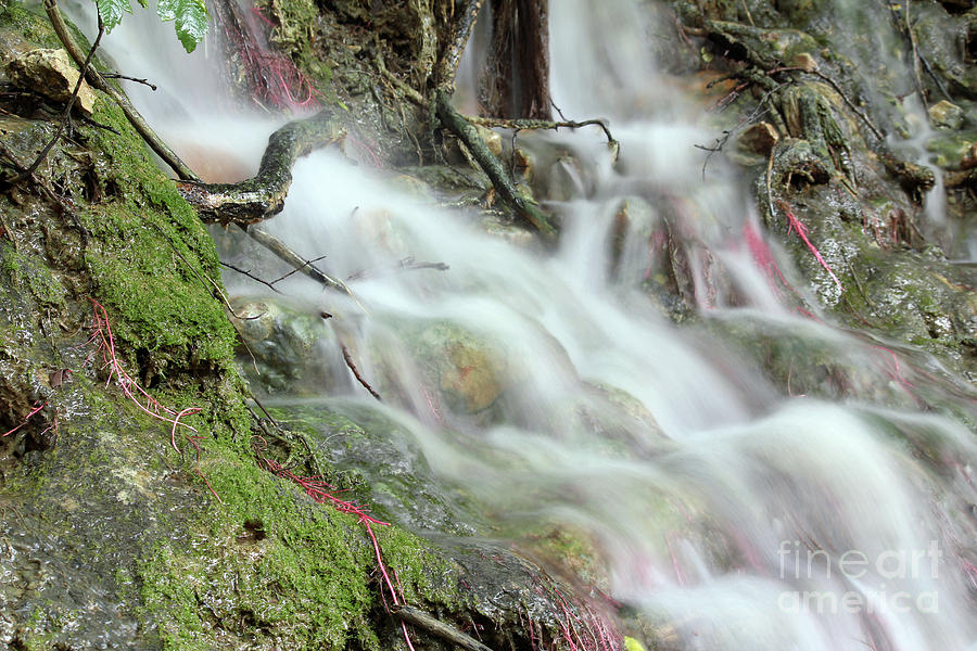 Fresh Spring Water Nature Detail Photograph by Goce Risteski - Fine Art ...