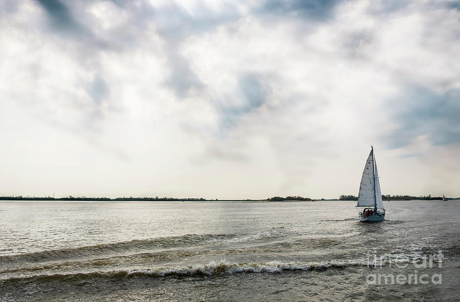 Fresh spring wind in the sails Photograph by Marina Usmanskaya