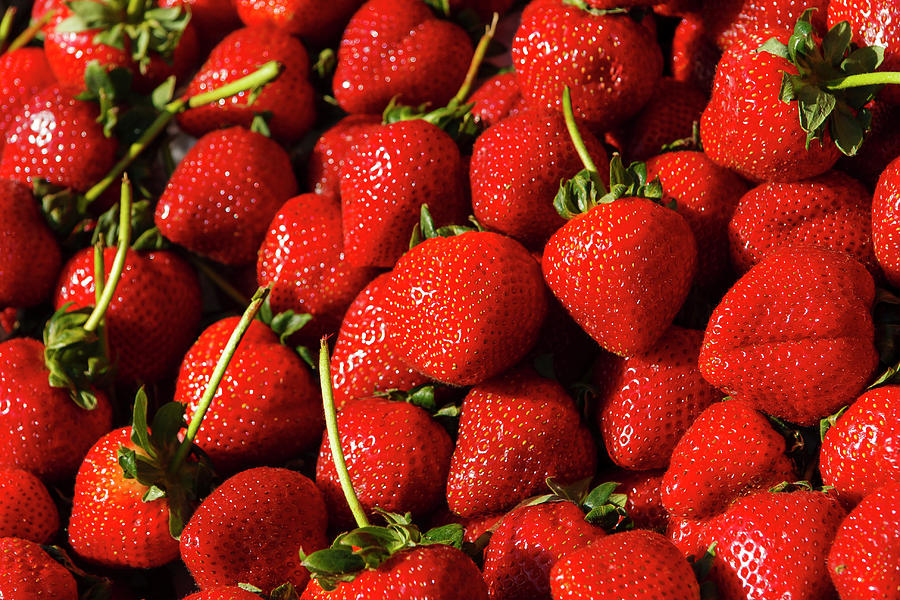Fresh Strawberries Photograph by Daniel Murphy