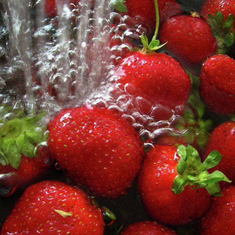 Fresh strawberries Photograph by Tatiana Travelways