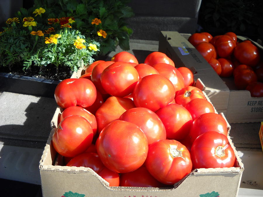 Fresh Tomatoes at Farmers Market Photograph by Kent Lorentzen