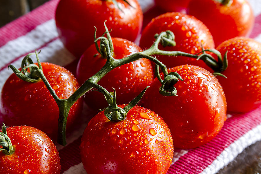 Fresh Tomatoes Photograph by Teri Virbickis