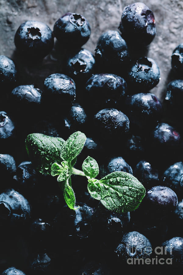 Nature Photograph - Fresh wet blueberries with green leaves on a counter by Michal Bednarek