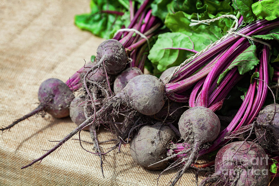 Fresh whole beetroot Photograph by Sophie McAulay