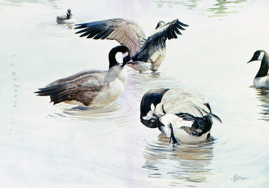 Geese Painting - Freshening Up by Maryann Boysen