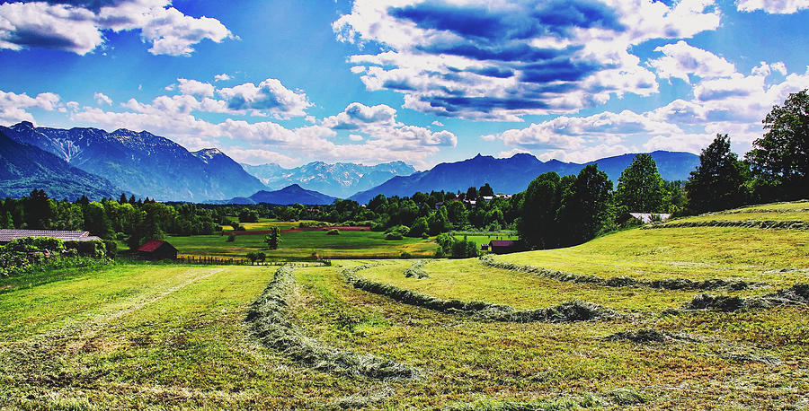 Freshly Cut Hay Photograph by Mountain Dreams
