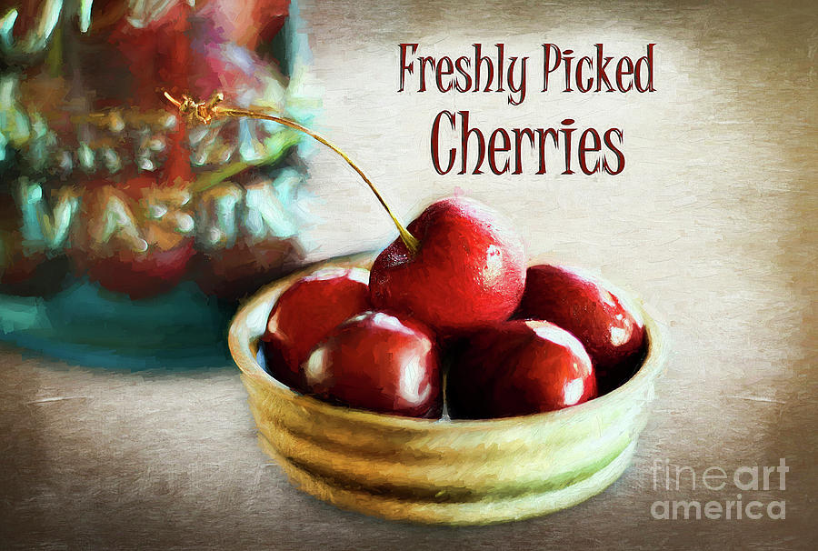 Freshly Picked Cherries Photograph by Darren Fisher