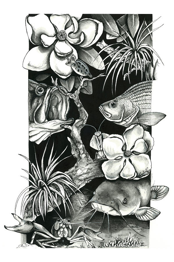 Perch Mixed Media - Freshwater Collage by Jacqueline Endlich Perch Mixed Media - Freshwater Collage by Jacqueline Endlich