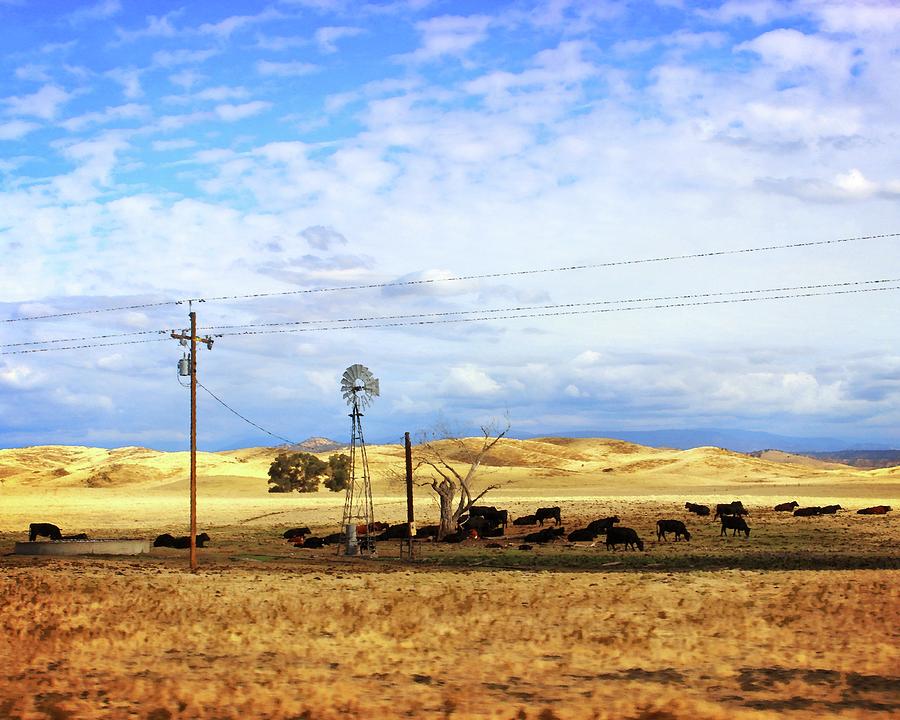 Fresno County Pastoral Photograph by Timothy Bulone