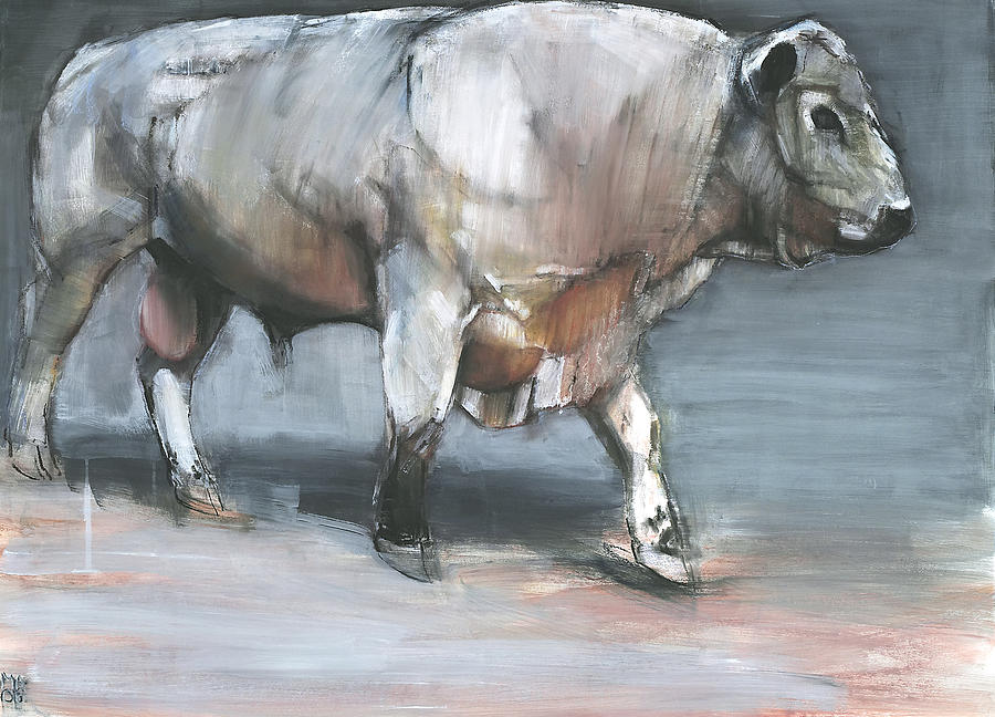 Cow Painting - Fresno   Galloway Bull by Mark Adlington