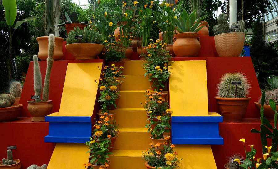 Primary Colors Photograph - Frida Kahlo Exhibit at New York Botanic Garden by Diane Lent